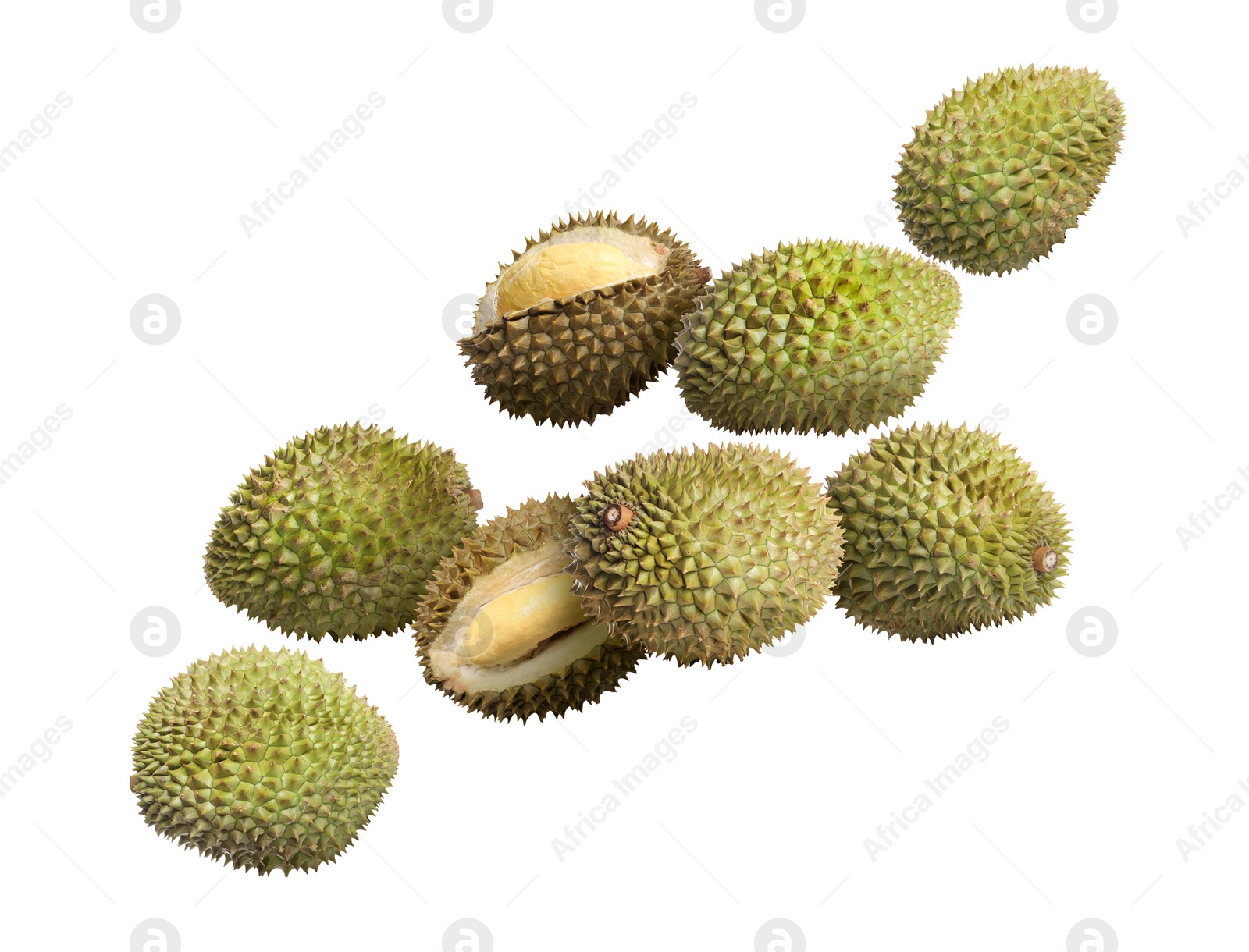 Image of Many ripe durian fruits falling on white background