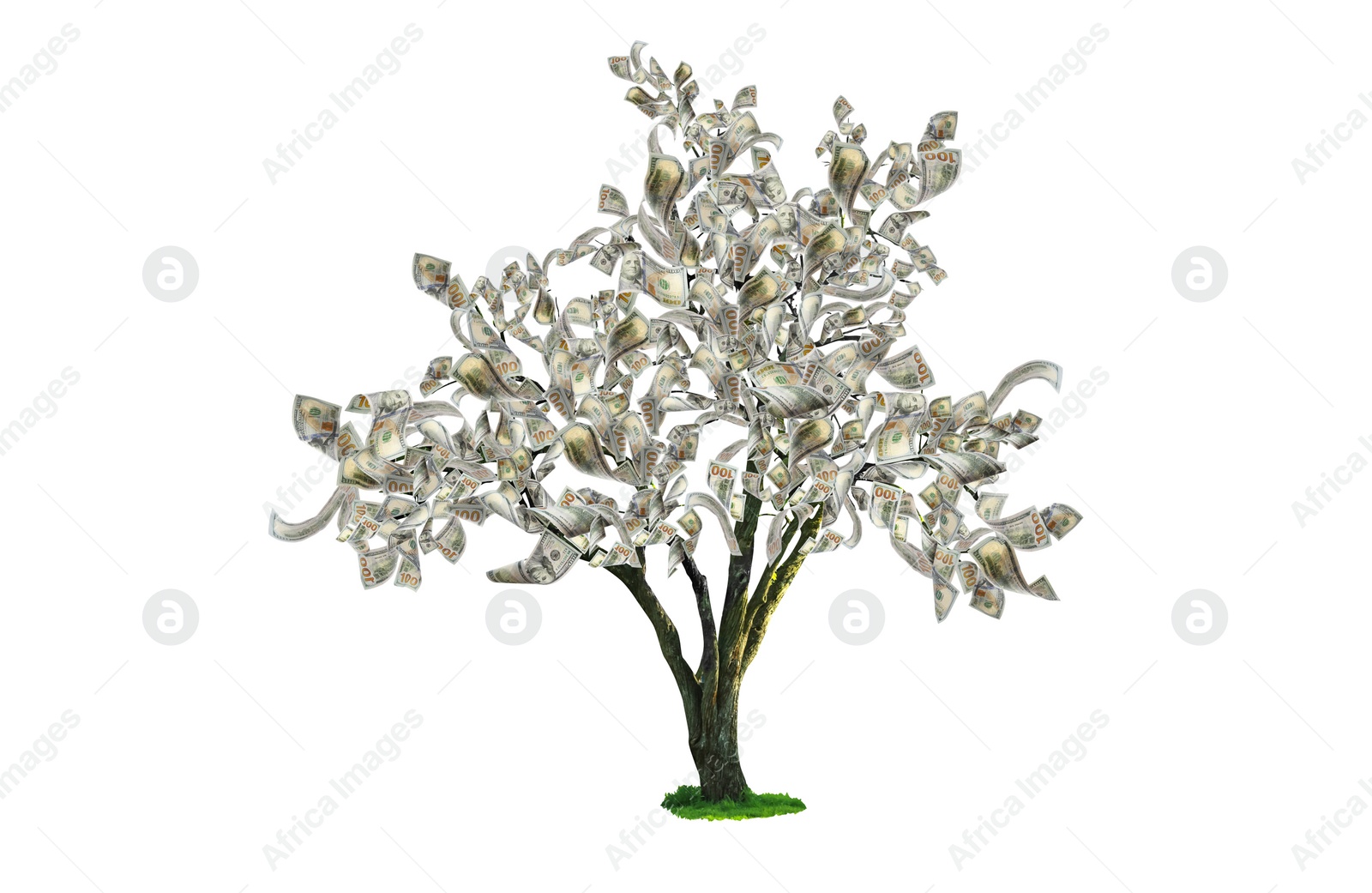 Image of Money tree on white background. Concept of financial growth and passive income