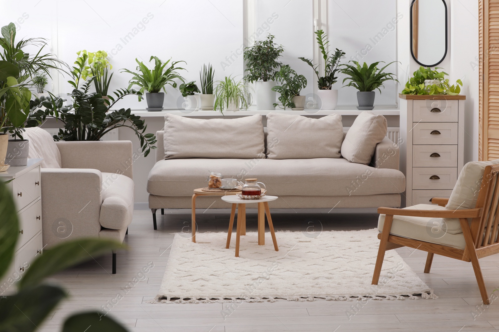 Photo of Stylish room with different potted green plants and comfortable sofa. Interior design