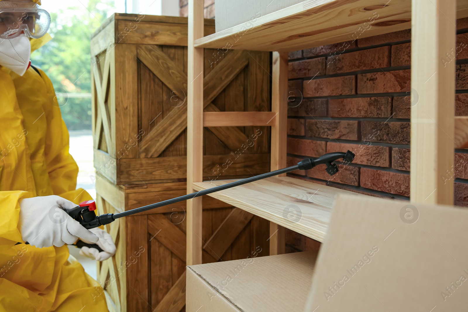 Photo of Pest control worker spraying pesticide on rack indoors