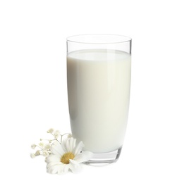 Glass with milk and flowers on white background