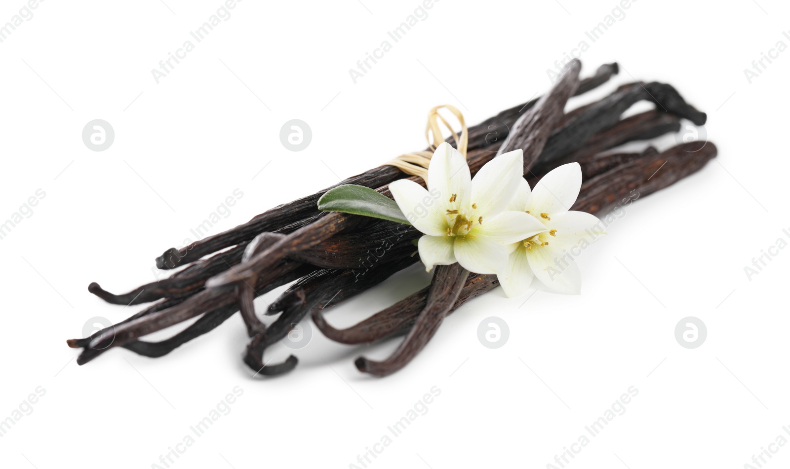 Photo of Vanilla pods, green leaf and flowers isolated on white