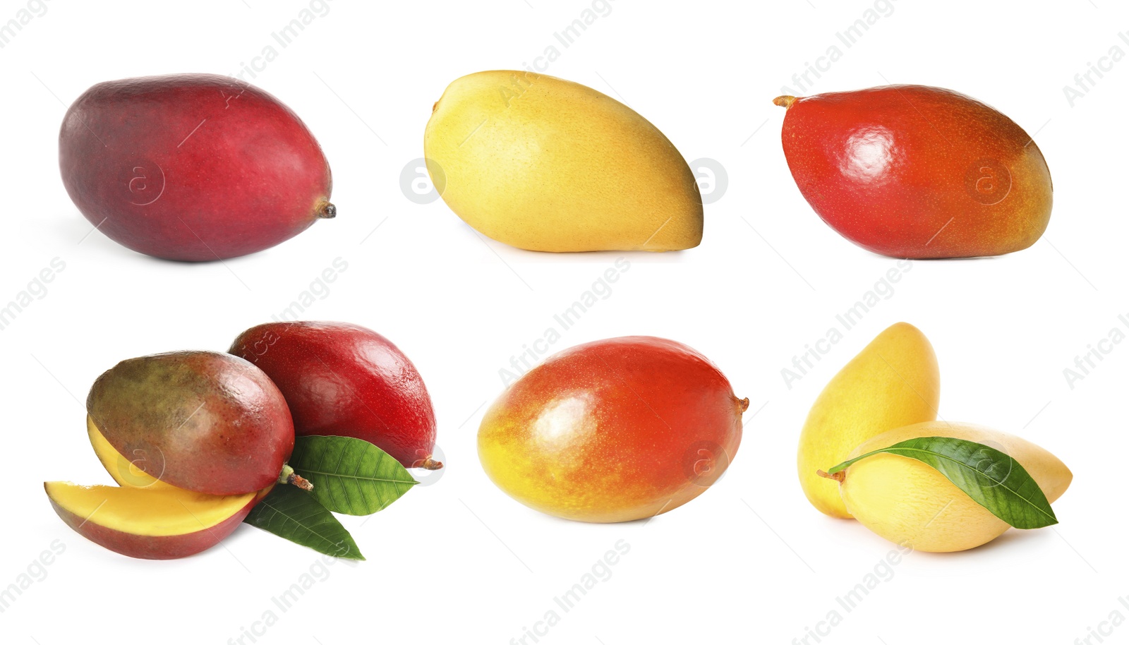 Image of Set of delicious mangoes on white background