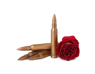 Photo of Bullets and beautiful rose flower isolated on white