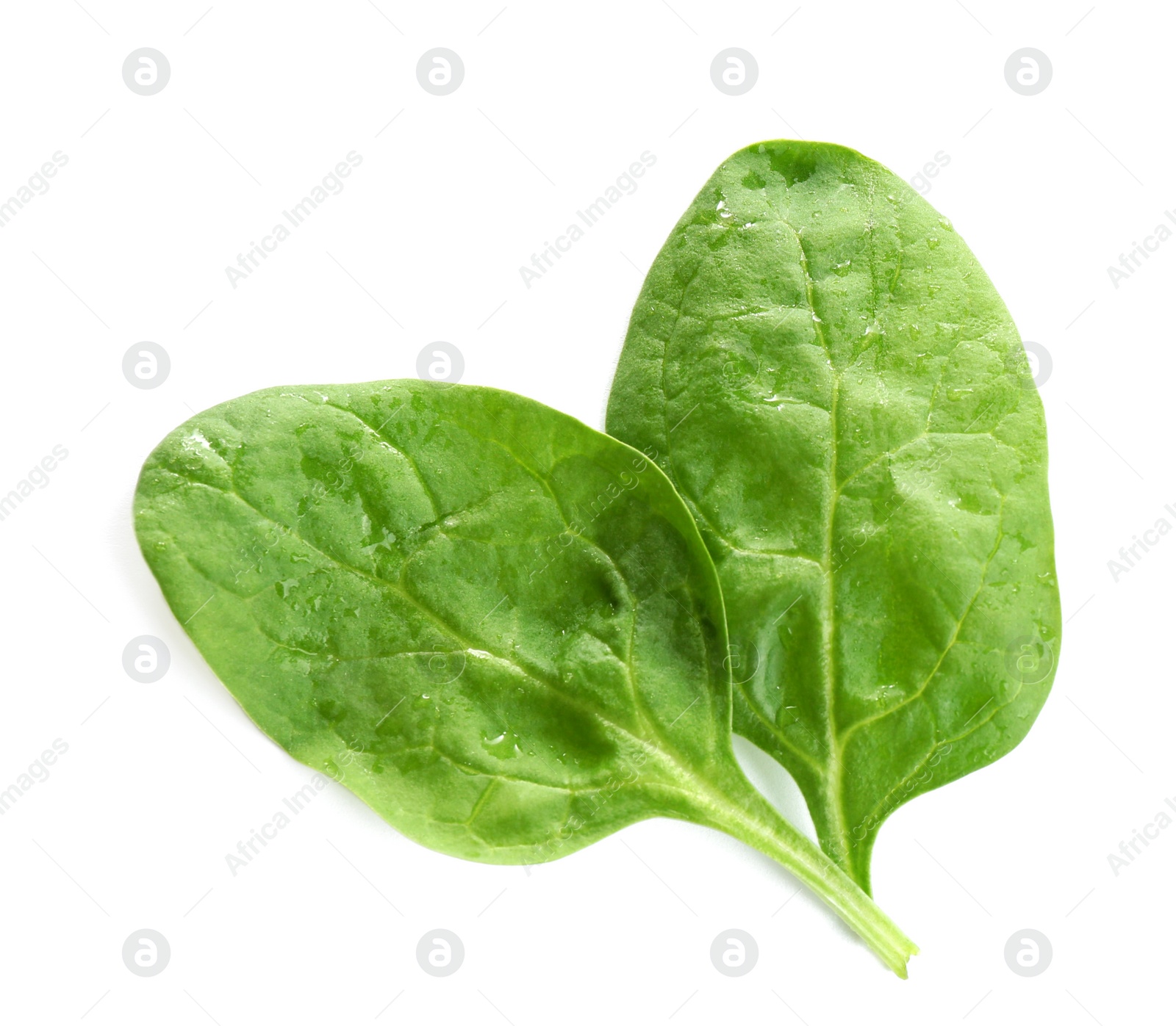 Photo of Fresh green healthy baby spinach leaves isolated on white, top view