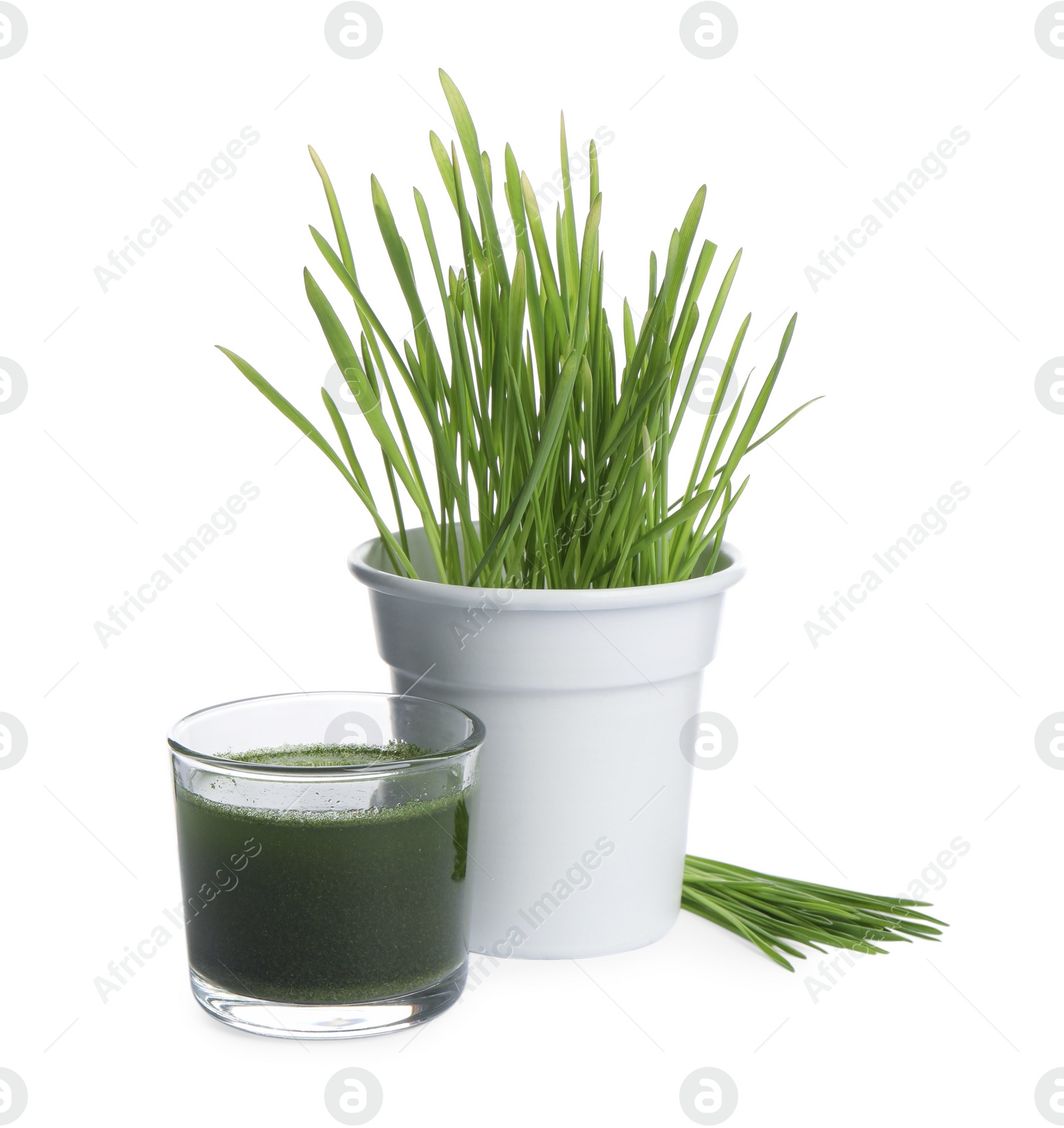 Photo of Wheat grass in pot, glass of green drink and fresh sprouts isolated on white