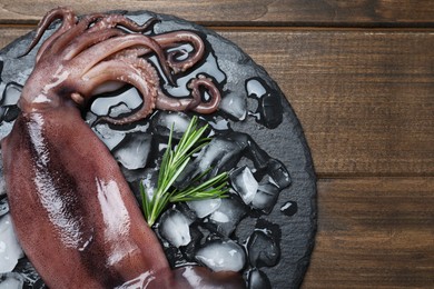 Fresh raw squid with ice and rosemary on wooden table, top view