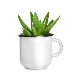 Tin mug with aloe vera on white background