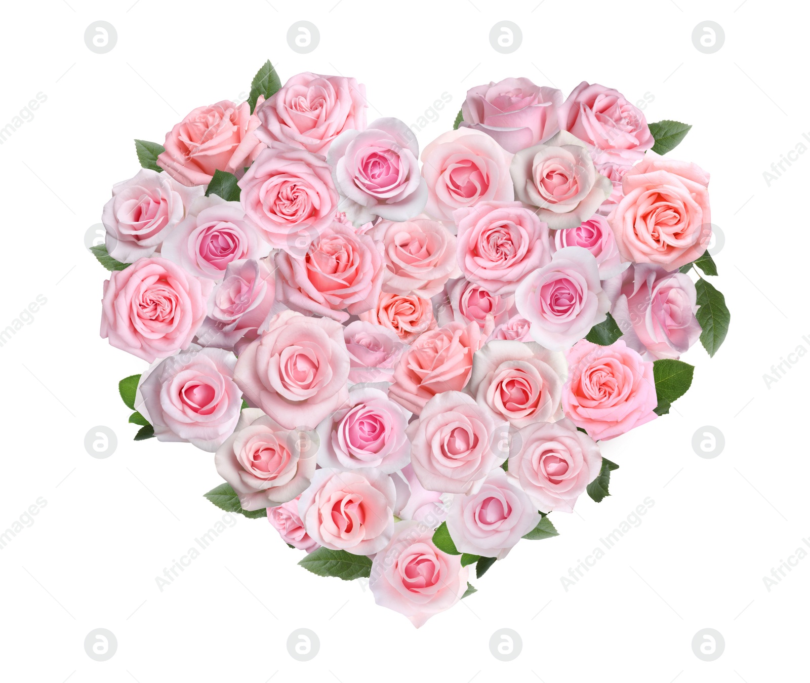 Image of Heart made of beautiful pink roses on white background