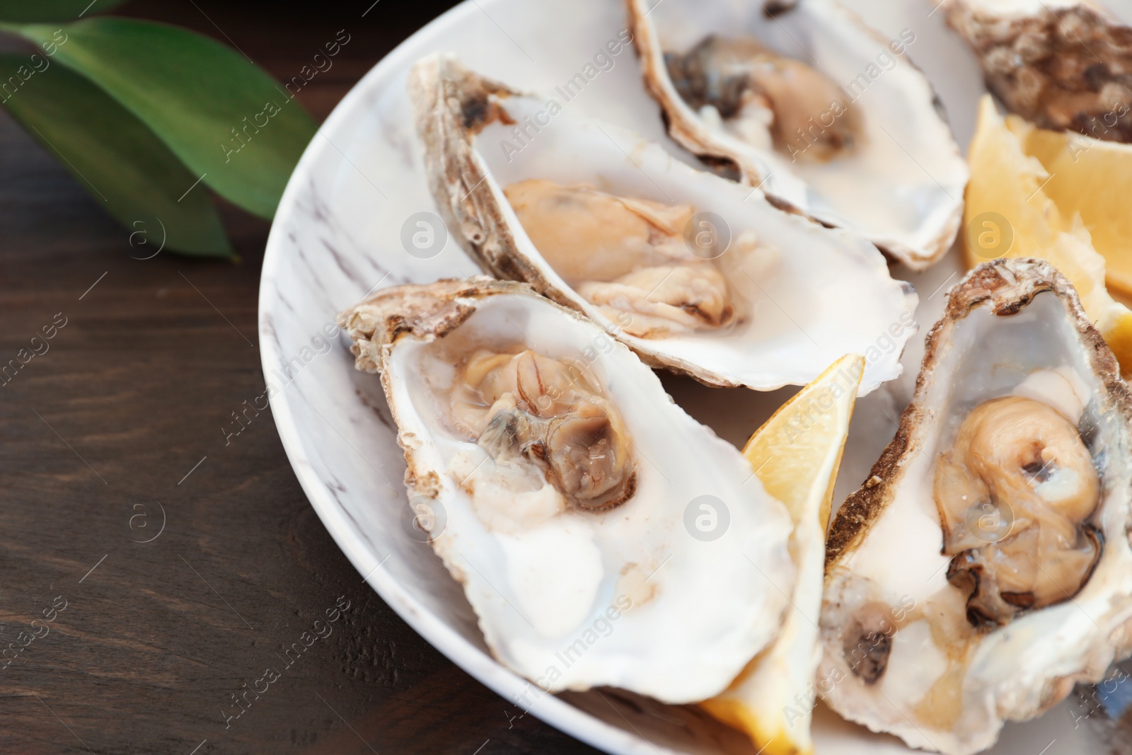 Photo of Fresh oysters and cut juicy lemon served on table, closeup