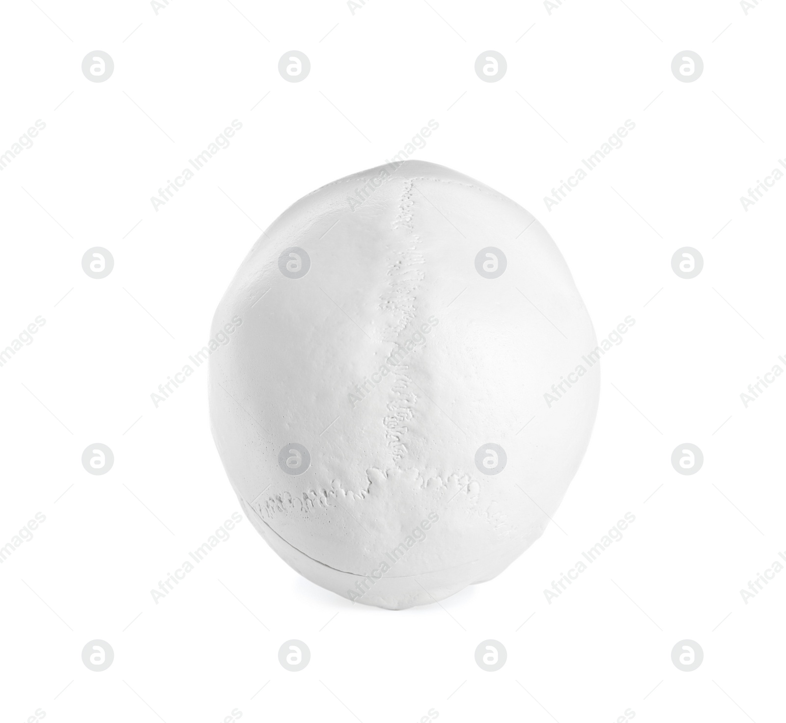 Photo of Human skull isolated on white, top view
