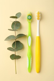 Colorful plastic toothbrushes and eucalyptus branch on pale yellow background, flat lay