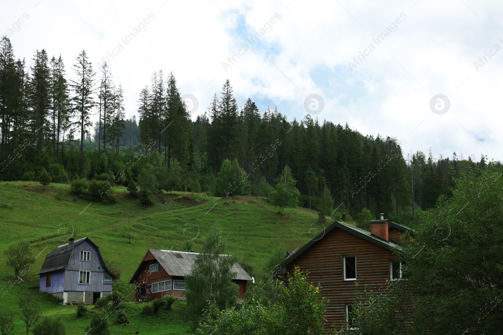 Photo of Beautiful houses on hill near conifer forest