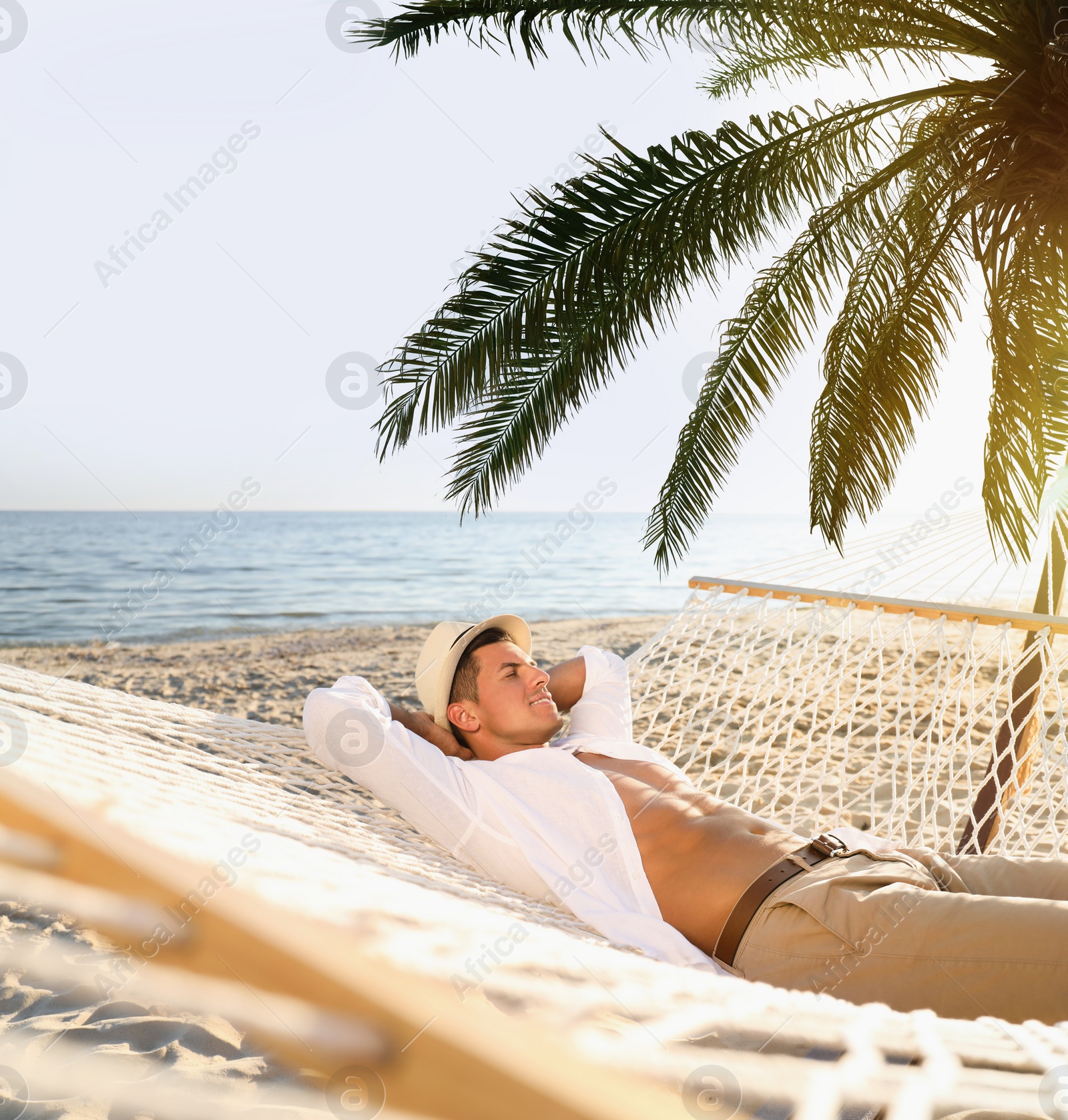 Image of Man relaxing in hammock under green palm leaves on sunlit beach