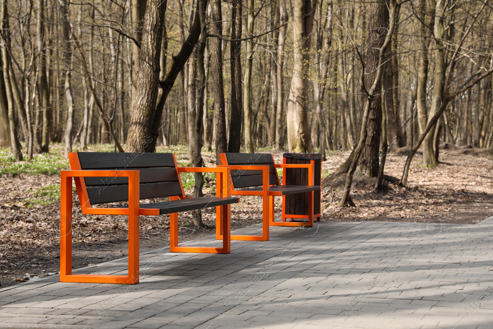 Photo of Empty wooden benches and trash bin in city park