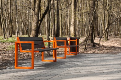 Empty wooden benches and trash bin in city park