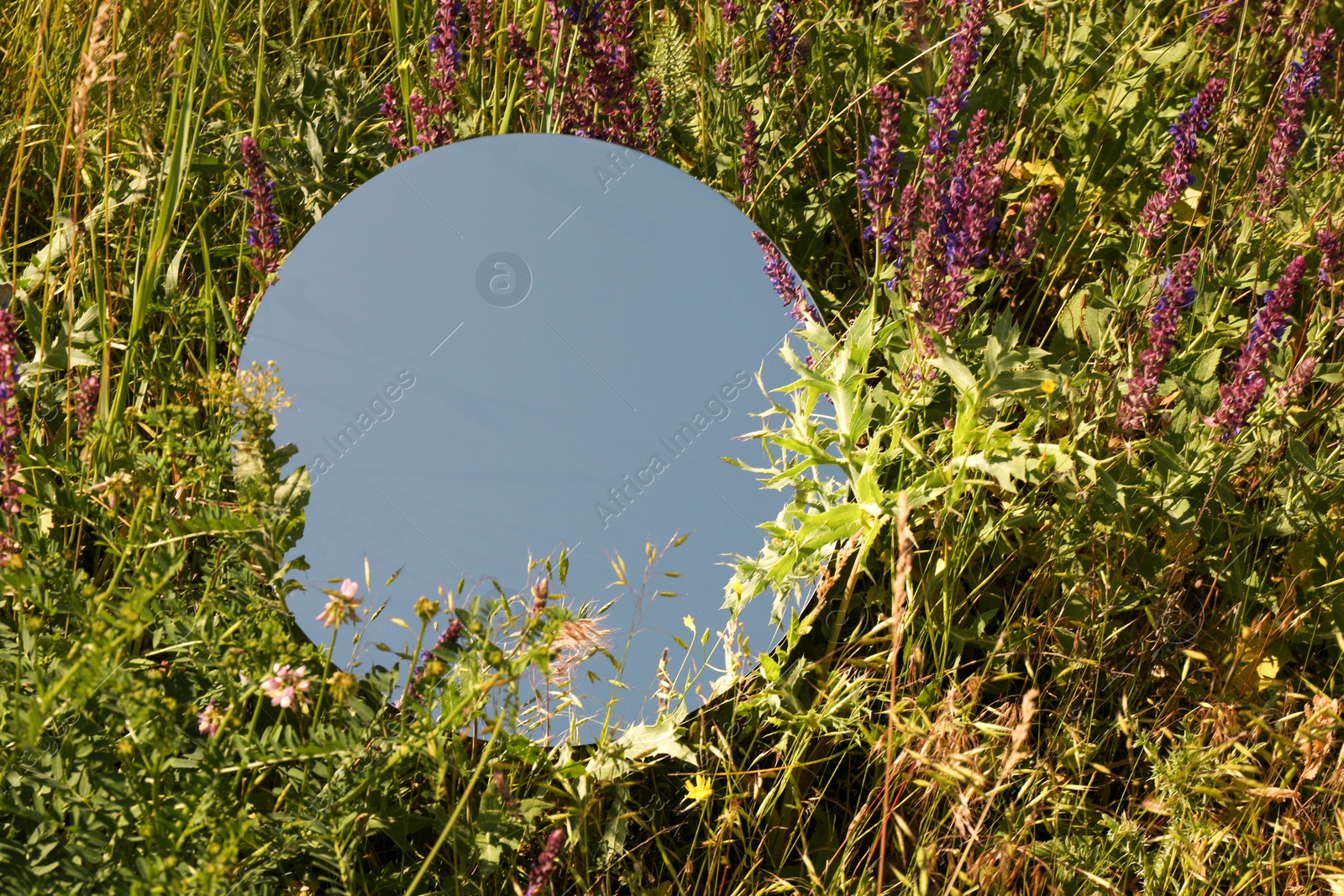 Photo of Spring atmosphere. Round mirror among grass and flowers on sunny day. Space for text