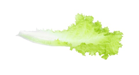 Leaf of fresh lettuce for burger isolated on white