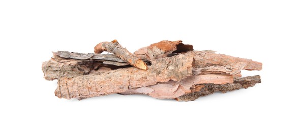 Photo of Pieces of tree bark isolated on white
