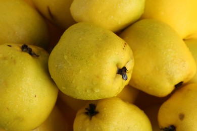 Photo of Delicious ripe quinces with water drops as background, closeup