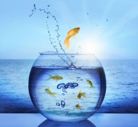 Image of Goldfish jumping out of water and beautiful seascape on background 