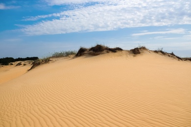 Photo of Picturesque landscape of desert on sunny day