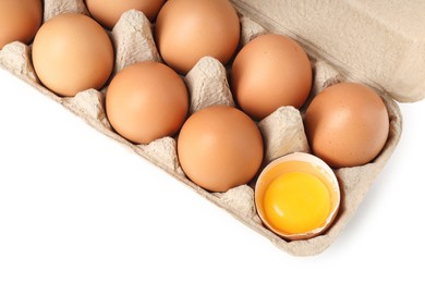 Photo of Chicken eggs in carton isolated on white, top view