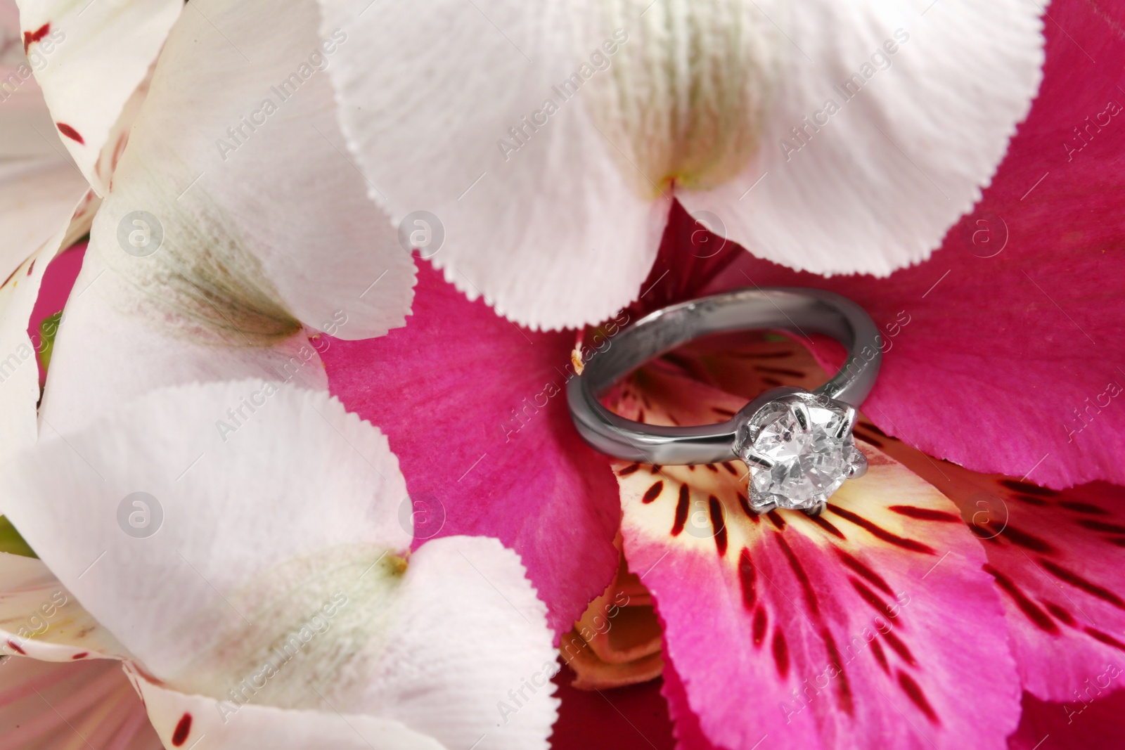 Photo of Beautiful luxury engagement ring with gemstone on flower, closeup