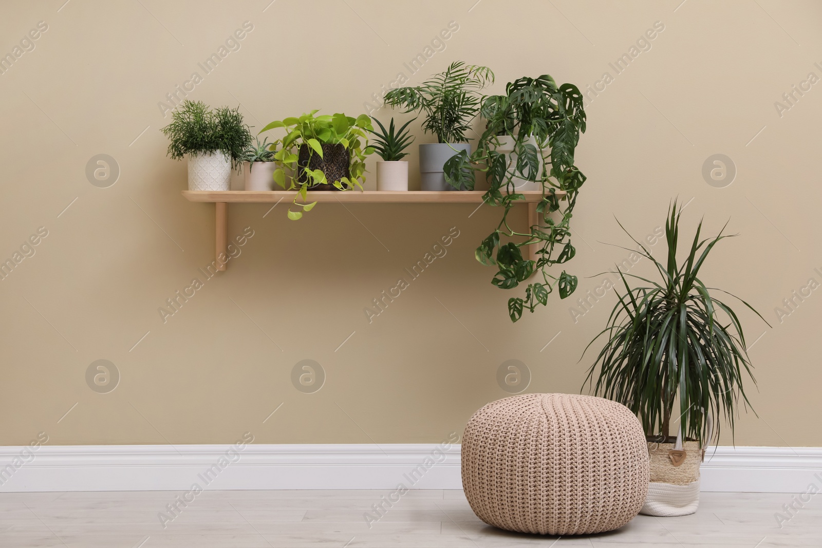 Photo of Room decorated with many different green houseplants