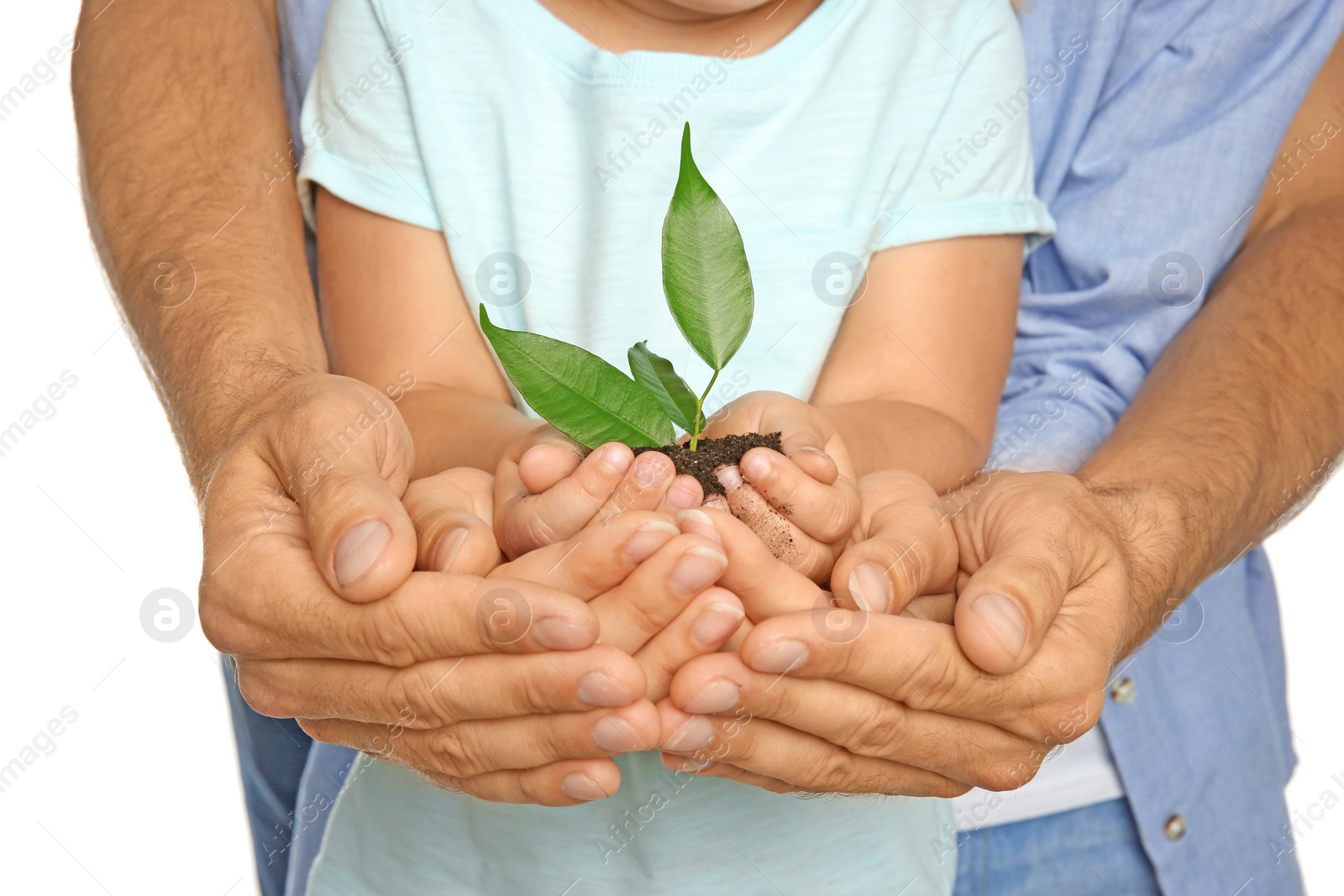 Photo of Family holding soil with green plant in hands on white background