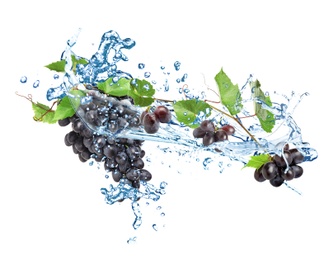 Image of Grapes with water splash on white background