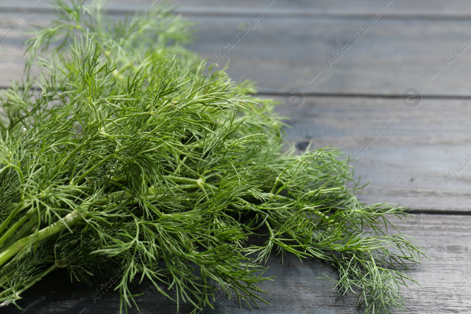 Photo of Fresh green dill on grey wooden table, closeup