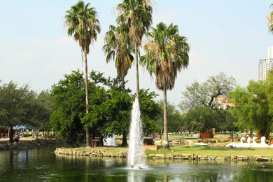 Photo of Tropical palms with beautiful green leaves near lake in park