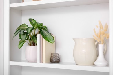 Photo of Interior design. Shelf with stylish accessories, potted plant and books near white wall
