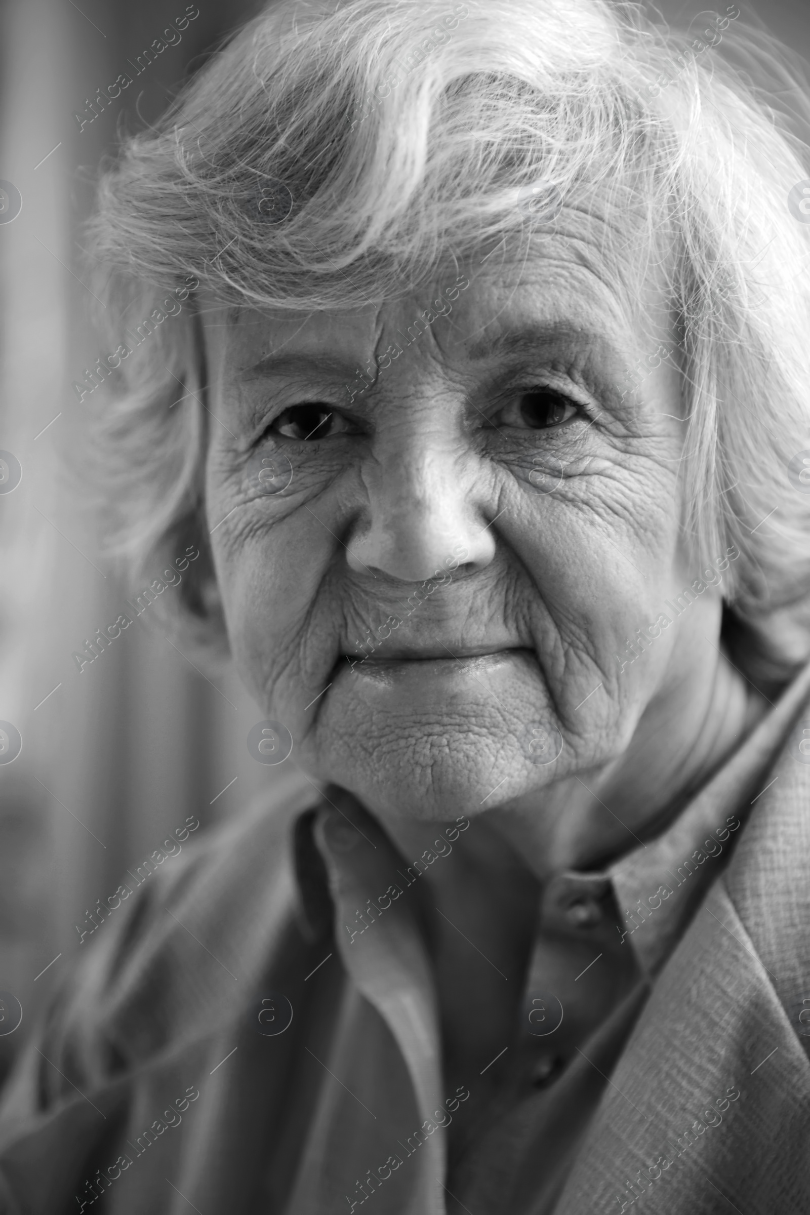 Photo of Portrait of elderly woman on blurred background. Black and white effect