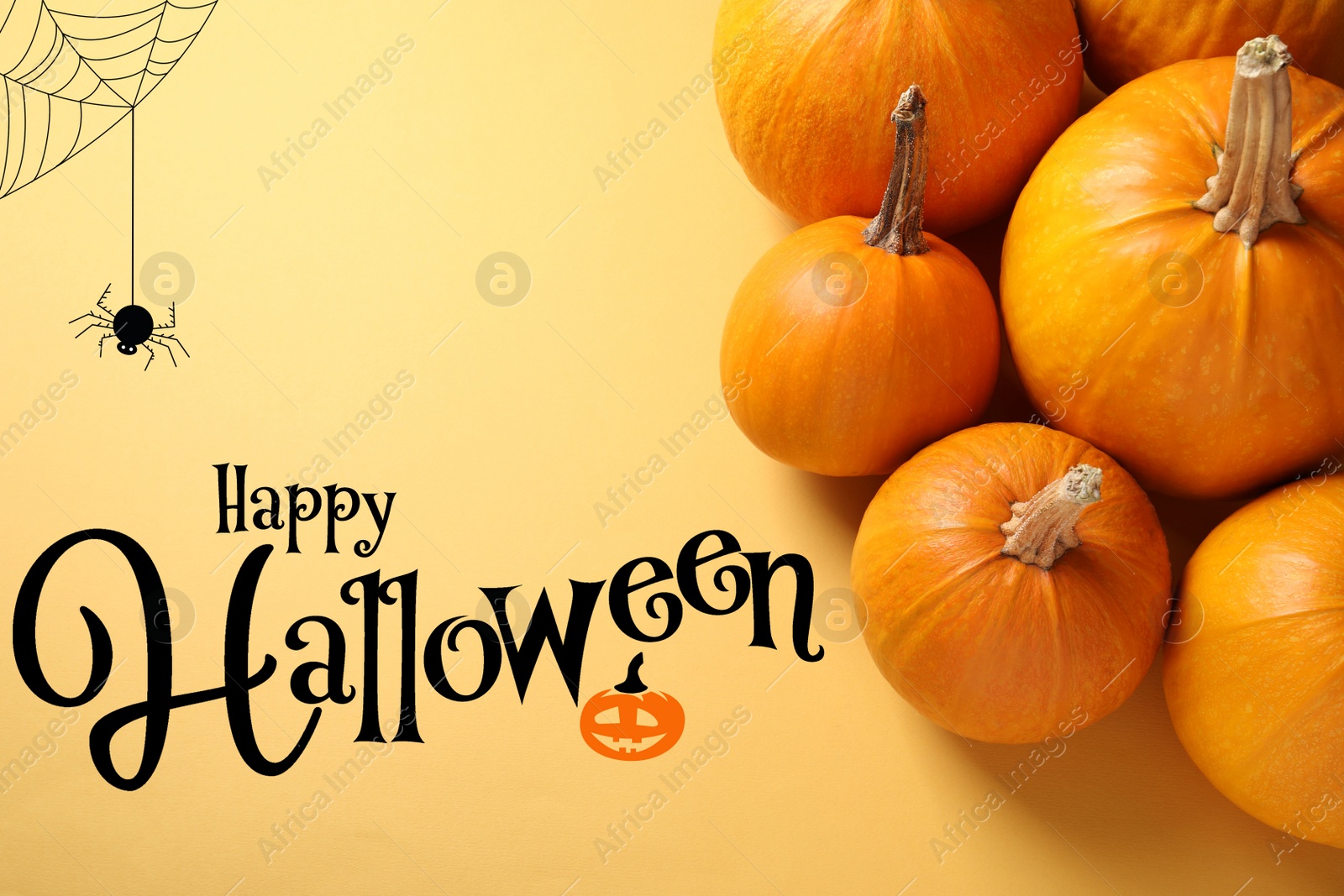 Image of Happy Halloween greeting card design. Fresh ripe pumpkins and spider with web illustration on yellow background, top view