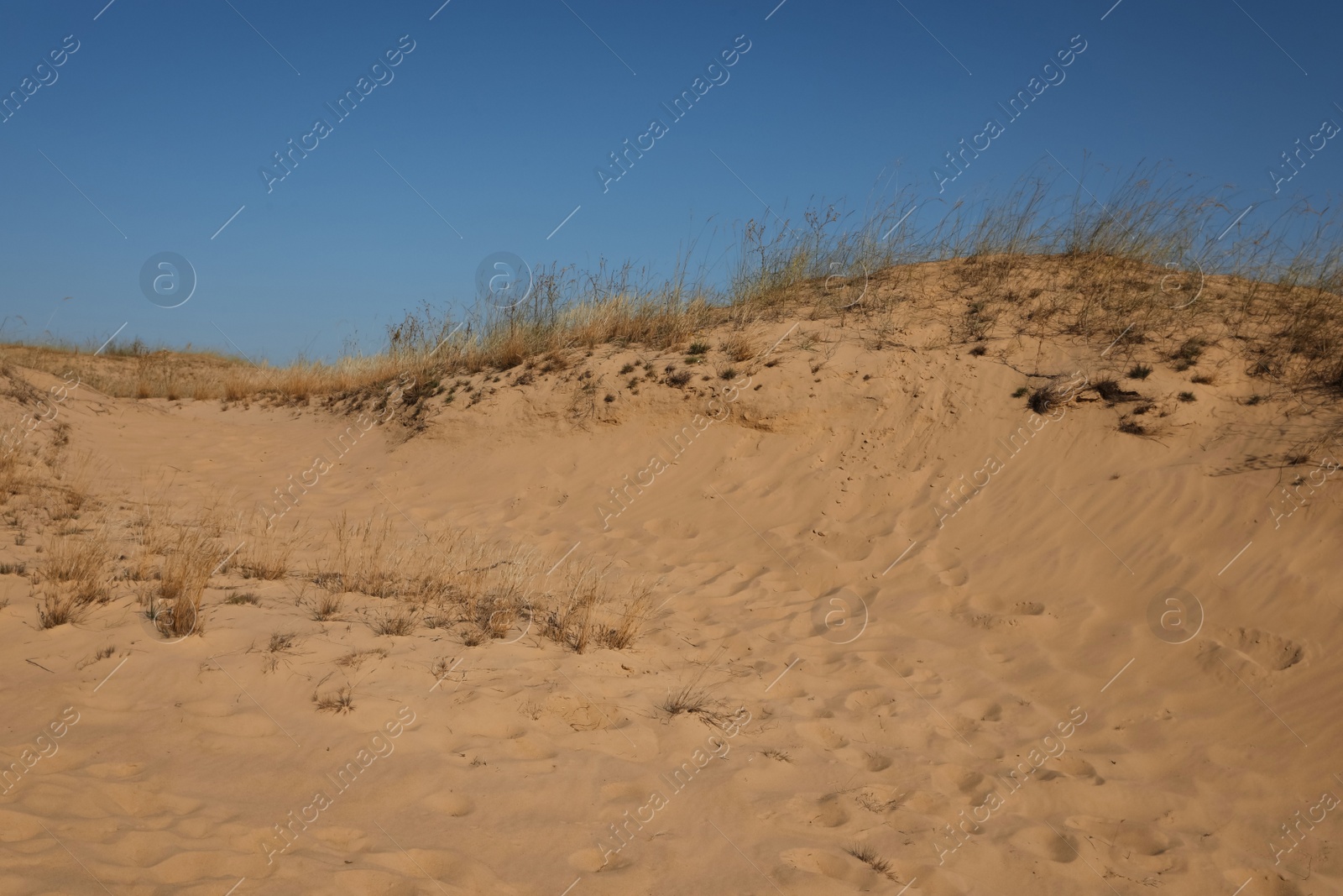 Photo of Picturesque view of desert on sunny day