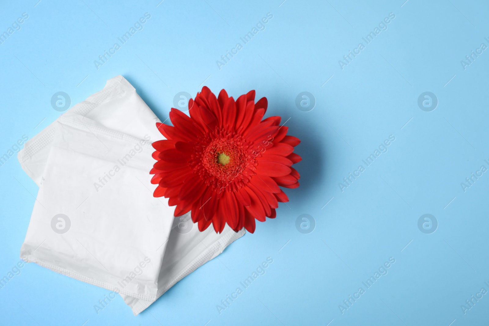 Photo of Flat lay composition with menstrual pads and gerbera flower on color background, space for text. Gynecological care