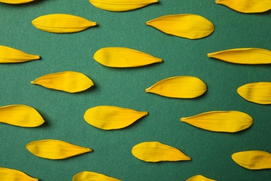 Photo of Fresh yellow sunflower petals on green background, flat lay