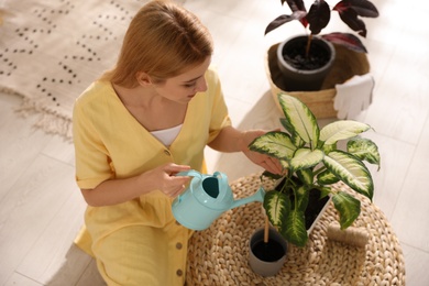 Photo of Young woman watering Dieffenbachia plant at home, above view. Engaging hobby