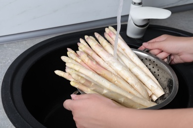 Photo of Woman washing fresh white asparagus over sink, closeup