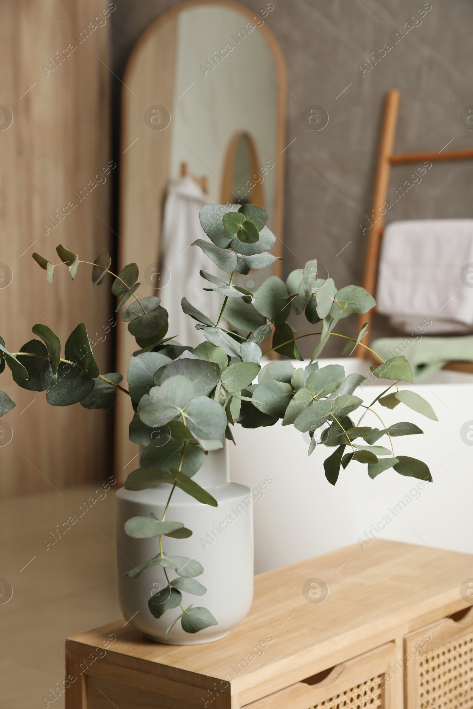 Photo of Beautiful eucalyptus branches in vase on wooden cabinet indoors. Interior design