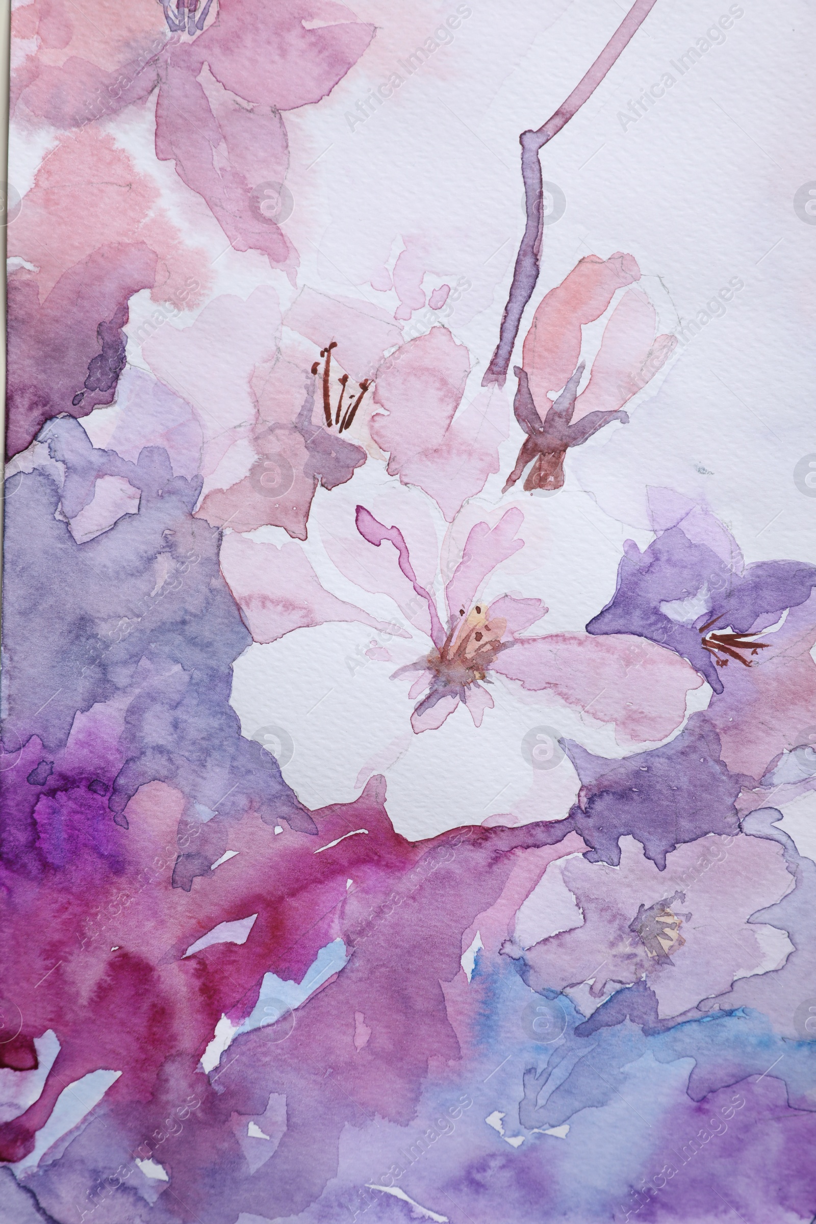 Photo of Closeup view of beautiful floral watercolor painting