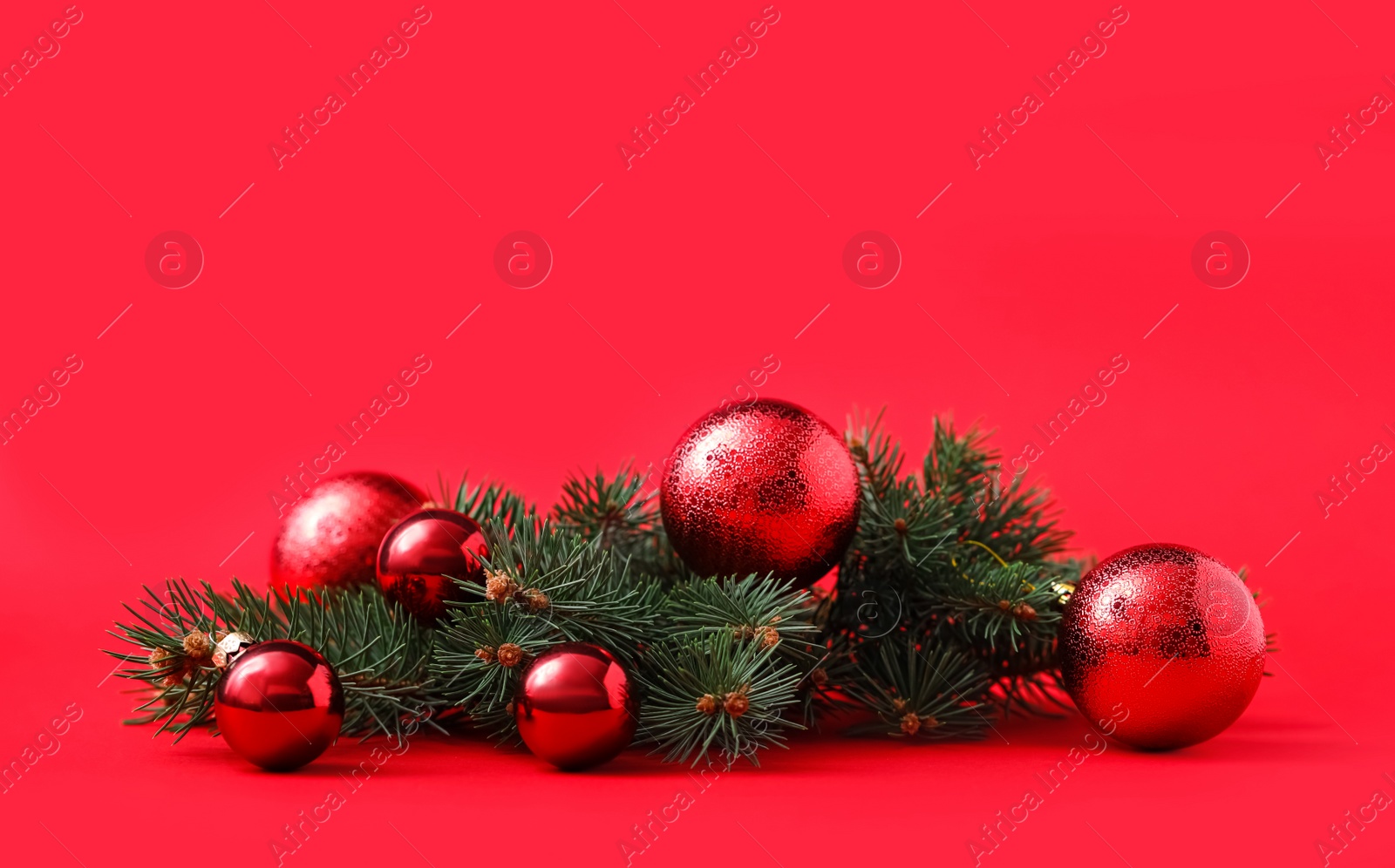Photo of Beautiful Christmas balls and fir branches on red background. Space for text
