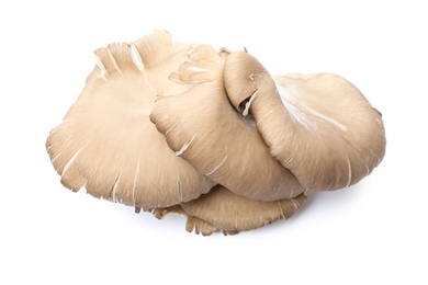 Photo of Delicious organic oyster mushrooms on white background