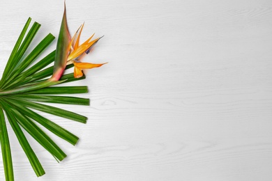 Photo of Creative composition with bird of paradise flower and tropical leaf on white background