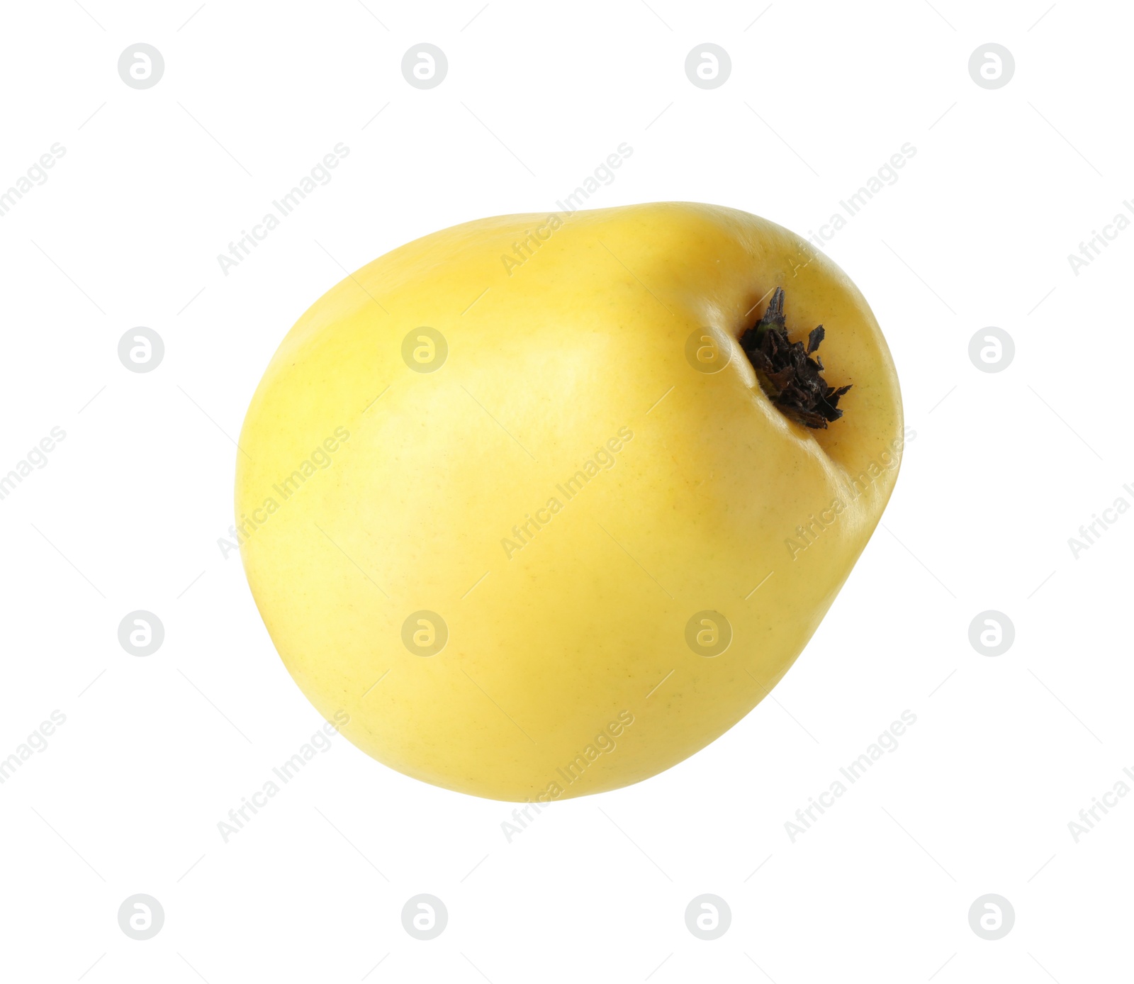 Photo of Delicious fresh ripe quince isolated on white