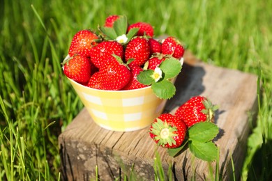 Bowl and ripe strawberries on log outdoors, closeup