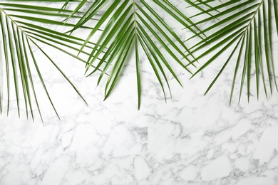 Photo of Fresh tropical date palm leaves on marble background, top view