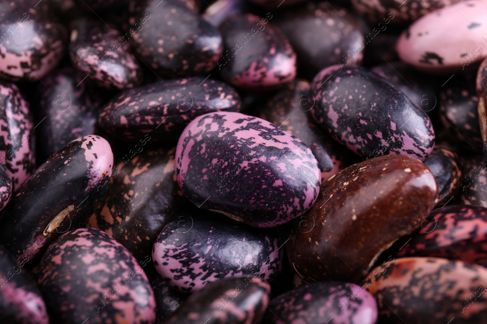 Photo of Many dry kidney beans as background, closeup